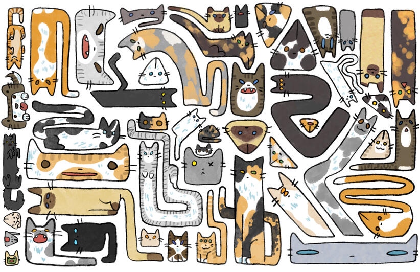 Cattern